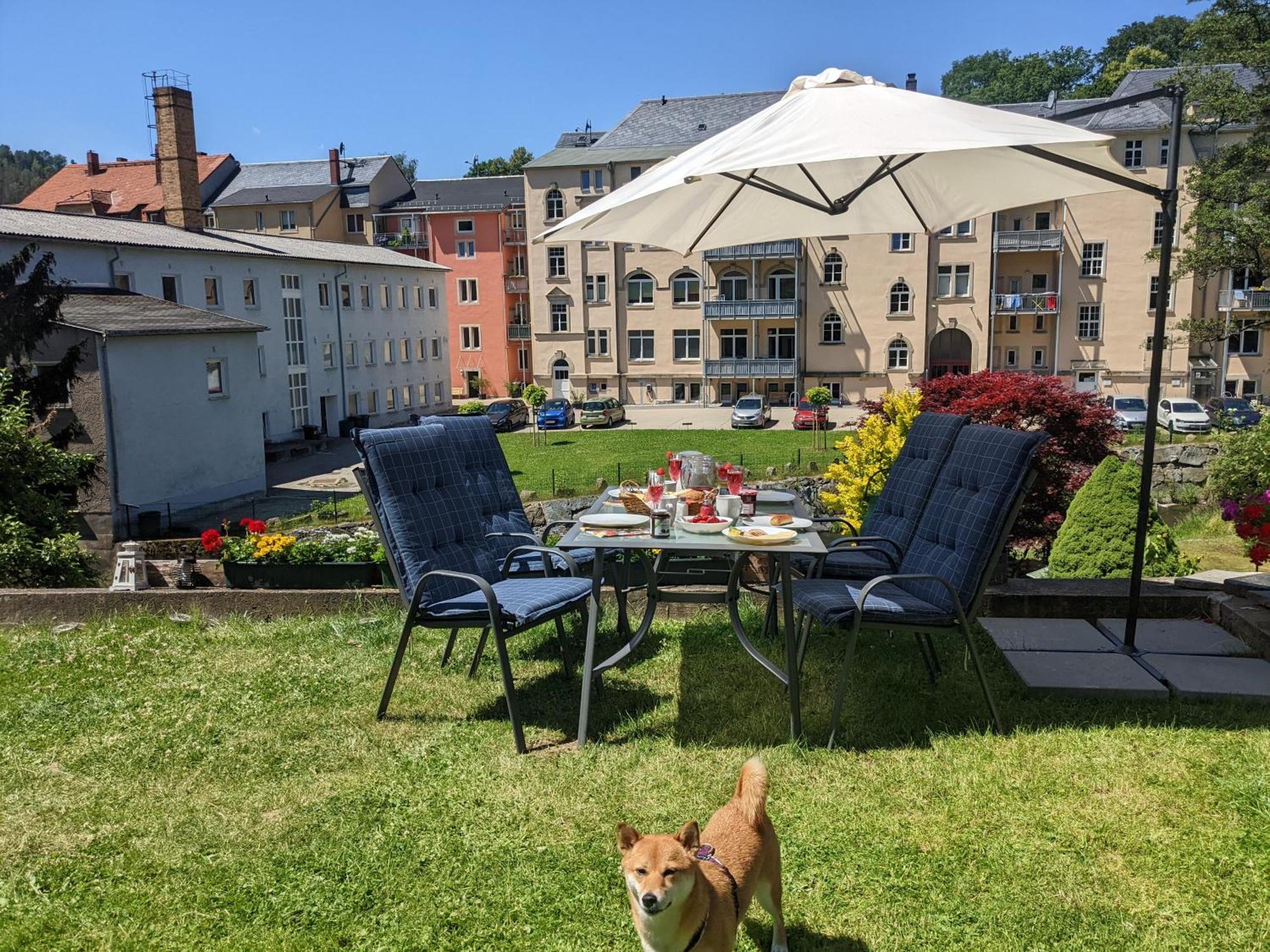 Zi1 - Urlaubsmagie - Erholung Mit Whirlpool & Sauna เซบนิทซ์ ภายนอก รูปภาพ