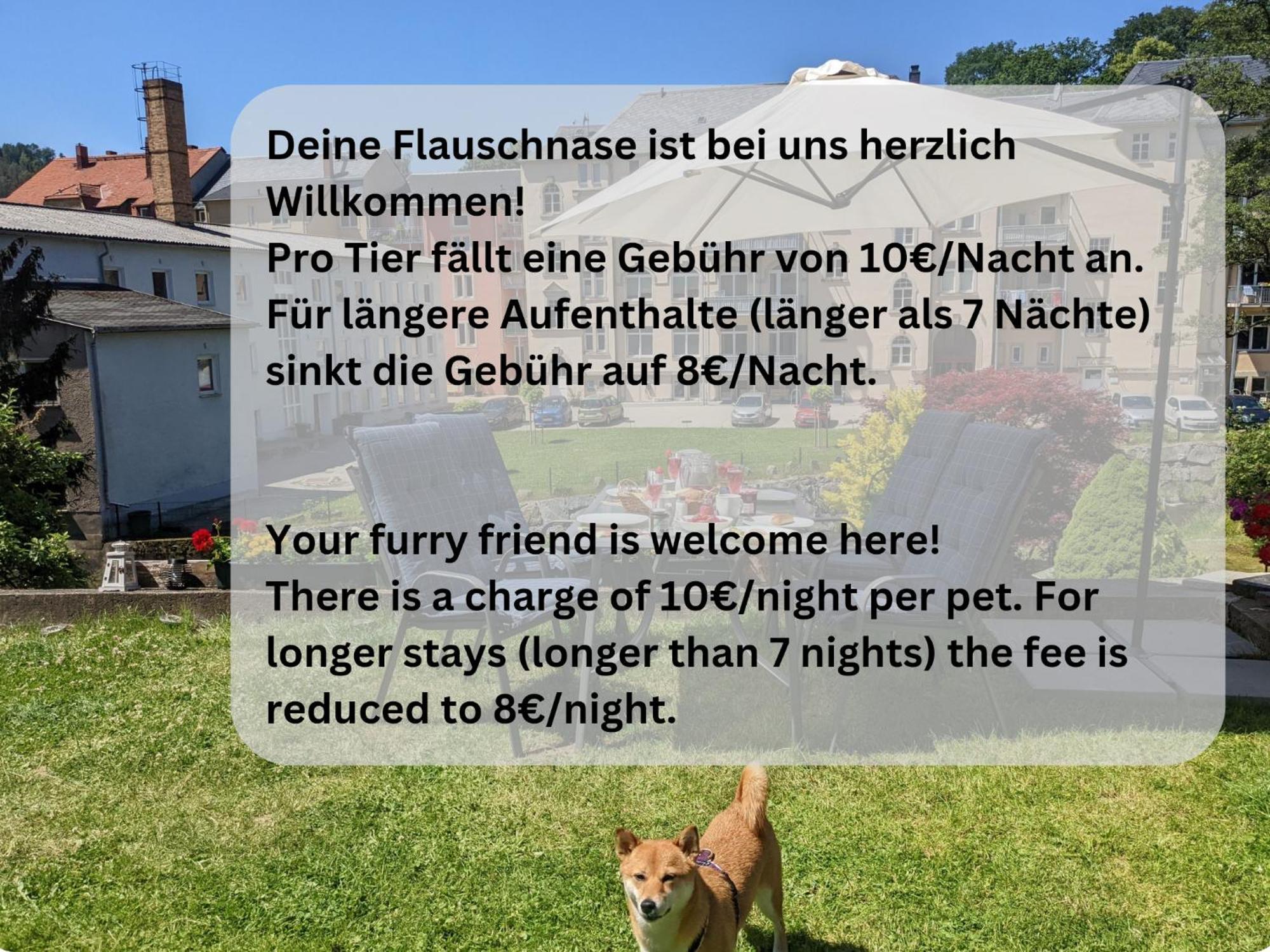 Zi1 - Urlaubsmagie - Erholung Mit Whirlpool & Sauna เซบนิทซ์ ภายนอก รูปภาพ